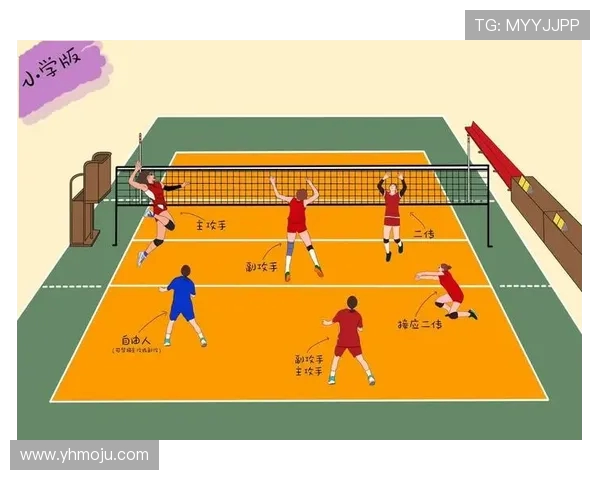 成都排球队排球战术解析与控制体系的深度剖析