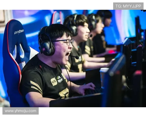 聚焦王者荣耀RNG战队节奏掌控与战术解析探讨