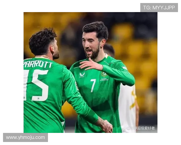 保加利亚与爱尔兰足球赛直播比分实时更新及精彩回顾