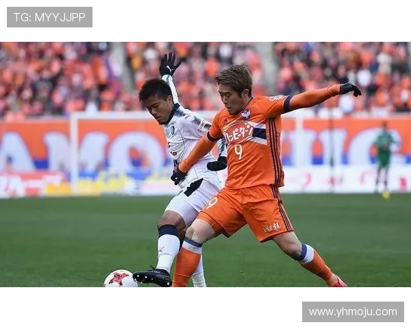 新泻天鹅迎战京都球队全力争胜展现实力与激情 新泻天鹅迎战京都球队全力争胜展现实力与激情